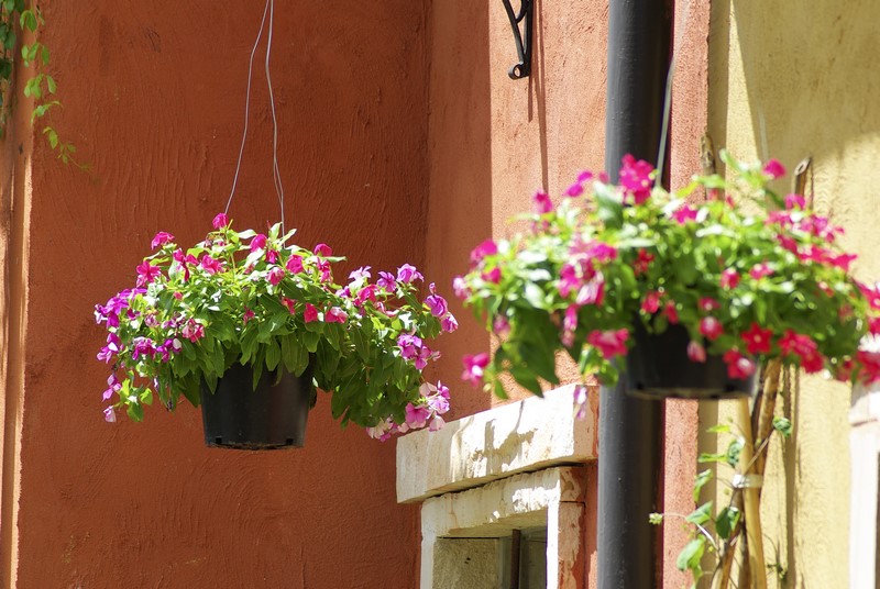 天天向前看的直銷心情