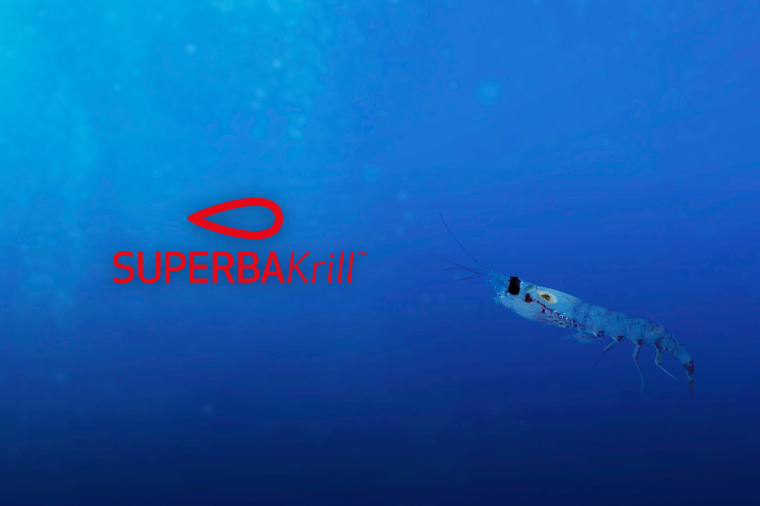 SUPERBA Krill™ 南極磷蝦油，保健藍海新選擇