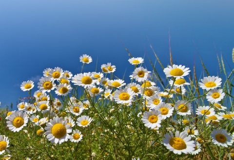 E世代員工常犯的12大職場禮儀禁忌